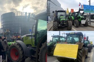 acordul mercosur scoate europarlamentarii in strada georgiana teodorescu securitatea alimentara e pusa in pericol video 696fc7333acba