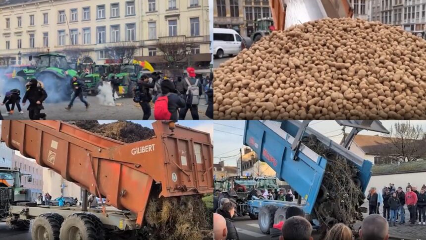 agricultorii romani protesteaza maine la strasbourg impotriva acordului ue mercosur 696df96ca9d7d