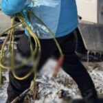 barbat prins in timp ce ardea cabluri de cupru ce masura au luat oamenii legii 6970e9cd311e5