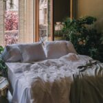 ce plante sa ai in dormitor purifica aerul si aduc armonie si iubire conform principiilor feng shui 697b30db89d9d