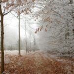 cod galben de ger vortexul polar loveste romania sefa anm urmeaza temperaturi de 14 grade celsius 697db092758fc