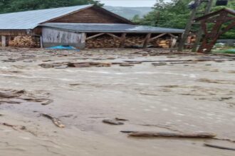 cod portocaliu de inundatii in mai multe judete hidrologii au actualizat avertizarile harta 69789858c5bf1