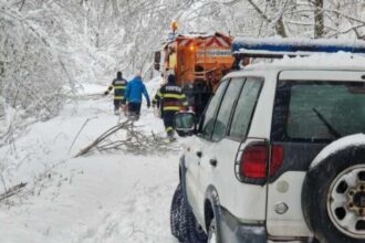 cum supravietuieste singurul om dintr un sat din apuseni dupa ce iarna a taiat orice legatura cu civilizatia 69615bb5df9f0