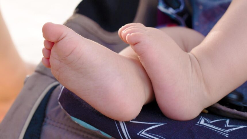 descoperire cutremuratoare la frontiera austriei un nou nascut fara viata abandonat dupa sosirea unui autocar din romania 696fb809977f1