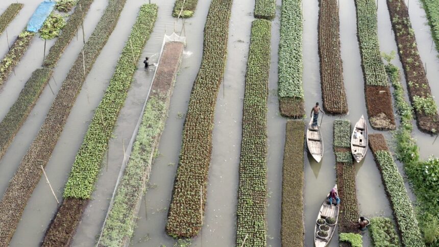 elements off balance doc maker scouted earth to showcase humans working as parts of nature to counter collective human narcissism 6978a4ad8b297