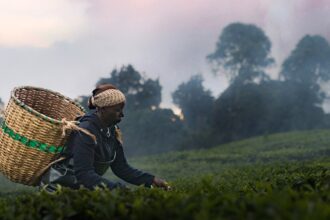 how doc kikuyu land about land restitution in kenya became a personal story for director bea wangondu 696ff894ea171