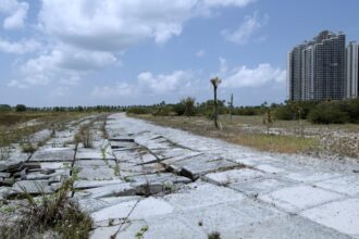 hungry director on her sci fi doc about a world without humans that is a call to action 6977a2f02bbad