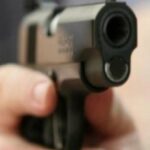 incident in timpul perchezitiilor la medicul cristian andrei politistii au folosit arme cu bile de cauciuc impotriva unor caini agresivi 6979d93f7ead5