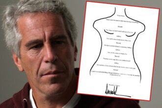 jeffrey epstein used birthday as excuse to traffic victims congressman claims 697096d020561
