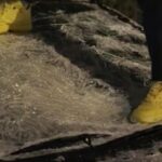 masini vandalizate in drobeta turnu severin dupa o provocare pe tiktok autorul a fost identificat video 6963b3b1c5d01