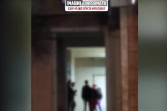 meciuri ilegale de box in mijlocul strazii mai multi copii implicati in lupte stradale 6978809981e1a