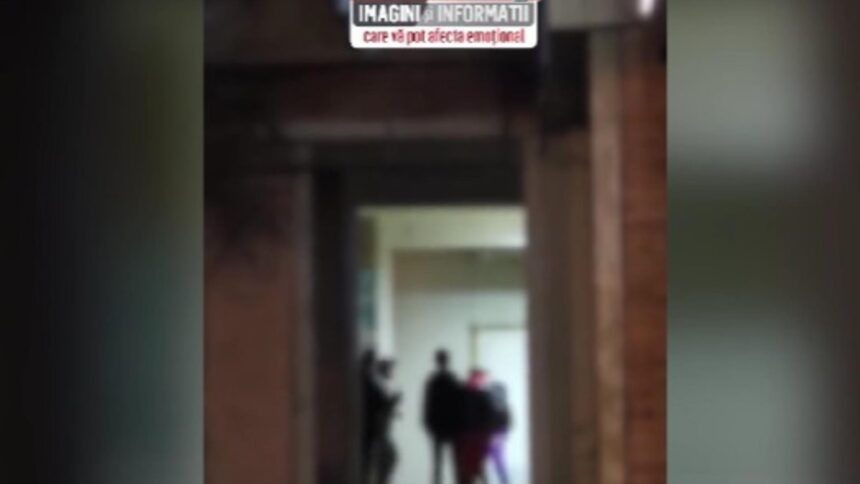 meciuri ilegale de box in mijlocul strazii mai multi copii implicati in lupte stradale 6978809981e1a