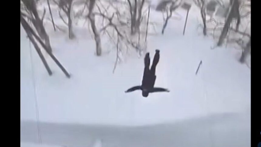 metoda inedita de a iesi din casa un rus a testat prospetimea zapezii sarind de la etajul 5 video 6972437ae0b0a