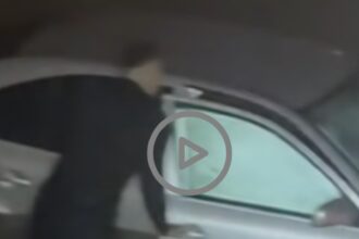 momentul in care doi politisti sar in apele reci ale jiului pentru a salva o femeie care a cazut cu masina in rau doamna ma auziti video 695f7ec8c1a7b