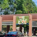 primaria capitalei a scumpit biletele la zoo baneasa si la mai multe teatre si muzee din bucuresti 697bc71a052b2