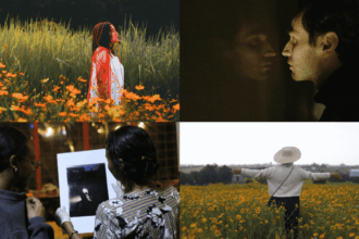 rotterdam positions itself as a safe haven for indie cinema 6979d30b107ed