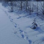 salvamont suceava anunta care sunt traseele montane pe care turistii trebuie sa le evite lista locurilor unde oamenii sunt in mare pericol 696743c734e12