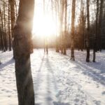 schimbare de vreme in romania dupa valul de frig accentuat temperaturile vor creste in toate regiunile 6964f06610485