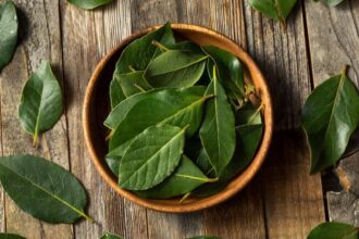 secretul foilor de dafin de pe calorifer obiceiul pe care romanii il practica in fiecare iarna 6978c4be2997c