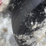 soferita din alba amendata cu peste 1 800 de lei dupa ce a circulat pe autostrada cu anvelope de vara 6960f37c93910