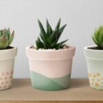 ue a pus tunurile pe banalele ghivece de flori un anumit tip va disparea din magazine pentru ca polueaza 6977872462839