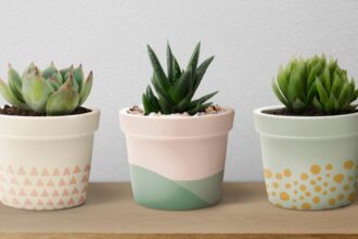 ue a pus tunurile pe banalele ghivece de flori un anumit tip va disparea din magazine pentru ca polueaza 6977872462839