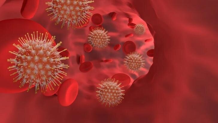 virusul nipah reaprinde alerta sanitara in asia india confirma noi cazuri iar mai multe state introduc controale in aeroporturi 697bd8c25ab82