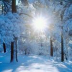 vremea in februarie temperaturi usor peste normal si precipitatii extinse cand vine primavara 697c5017676aa