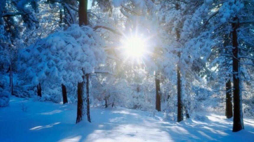 vremea in februarie temperaturi usor peste normal si precipitatii extinse cand vine primavara 697c5017676aa