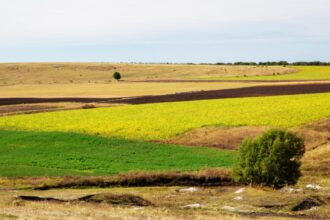 zona din romania unde un hectar de teren a ajuns sa se vanda cu 280 000 de euro cum mai arata piata terenurilor arabile in 2026 6970c35ab4ee6