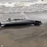 alerta la marea neagra o drona ruseasca a esuat pe o plaja din turcia 698dcb27ecddc