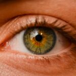 alimente benefice pentru sanatatea ochilor ce trebuie sa consumi pentru a ti intari vederea si creste acuitatea vizuala 6985d8b740b53