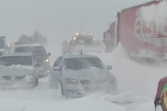 anm anunta ninsoare puternica in captala strat de zapada de 30 40 cm si viscol cu rafale de 55 km h 699972b03d61f