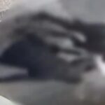 barbat batut de doi indivizi la iesirea din spitalul obregia agresorii care au folosit si un cutit retinuti 6985f28dae006