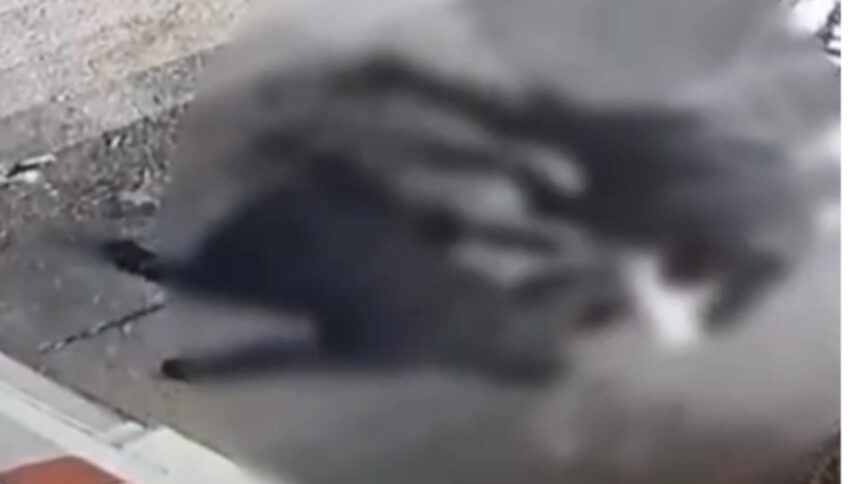 barbat batut de doi indivizi la iesirea din spitalul obregia agresorii care au folosit si un cutit retinuti 6985f28dae006