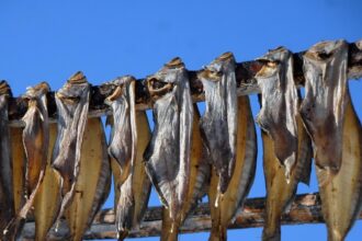 batog de sturion devine al 16 lea produs romanesc recunoscut si inregistrat la nivel european 6995ca60dc6c7