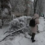 bilantul mai pentru cele doua zile de urgie a zapezii stalpi rupti copaci prabusiti sute de autovehicule avariate 6996c3f9ec3e8