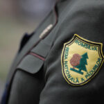 cand spera diana buzoianu sa fie adoptata reforma romsilva am ajuns intr un punct in care toate partidele suntem aliniate 698ee21e02887