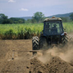 cooperativele agricole romanesti analizeaza modelul german de organizare si marketing 698a0c8b738cb