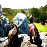 cum arata primul animal de pe terra care se hranea cu plante cercetatorii au reconstituit o fosila veche de 307 milioane de ani 698ba5644b7f0