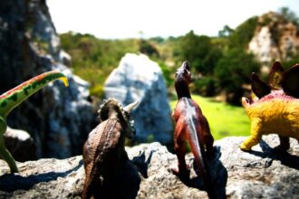 cum arata primul animal de pe terra care se hranea cu plante cercetatorii au reconstituit o fosila veche de 307 milioane de ani 698ba5644b7f0