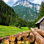 de ce este recomandat sa petreci cat mai mult timp in natura beneficiile nebanuite pentru sanatate 699c48157383b