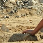 descoperirea arheologica veche de 50 de milioane de ani facuta de un copil 69a17a24edd09