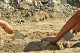 descoperirea arheologica veche de 50 de milioane de ani facuta de un copil 69a17a24edd09