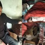 drama batranului paralizat care ingheata in casa nu am lemne poate ma ajutati si pe mine ca inghet de frig video 698113bf5bfd4