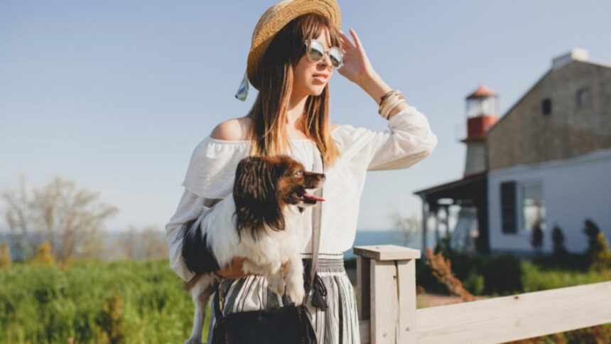 europa schimba regulile pentru calatoriile cu animale de companie verificari mai dure documente noi si posibile inregistrari digitale din 2026 6995b6700b0fb