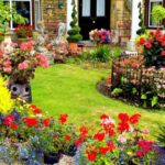 flori pe care le poti semana in luna februarie pentru a te bucura de o gradina colorata incepand cu primavara si pana toamna tarziu 6989b37289dfa