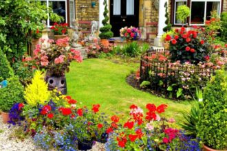 flori pe care le poti semana in luna februarie pentru a te bucura de o gradina colorata incepand cu primavara si pana toamna tarziu 6989b37289dfa