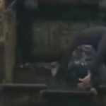 fugar prins dupa ce a sarit dintr un tomberon a fost descoperit de un angajat de la salubritate 699ff88009381