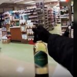 hotii costumati in robin hood au donat mancarea sarmanilor furt in canada 6984c555911cd